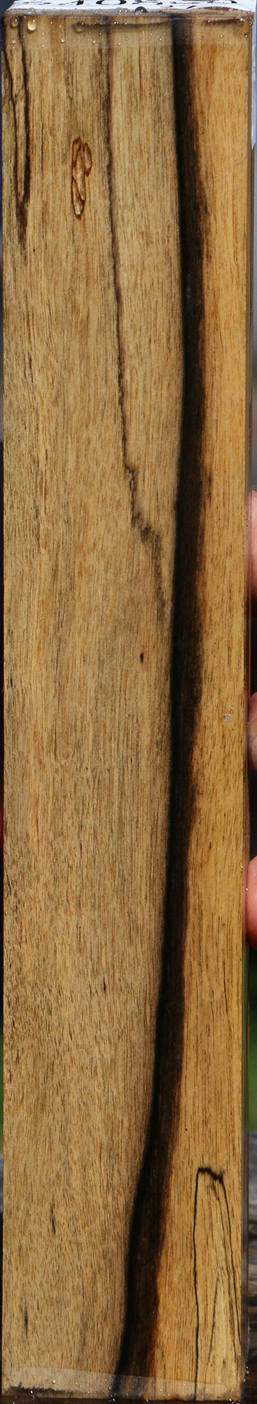 Black & White Ebony Lumber