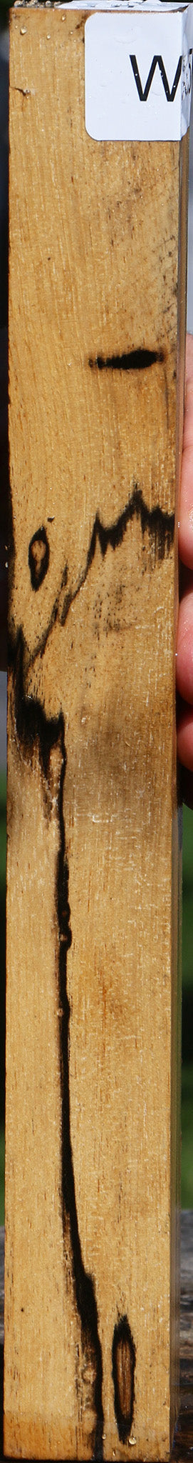 Black & White Ebony Turning Blank