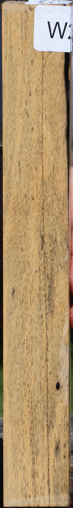 Black & White Ebony Turning Blank