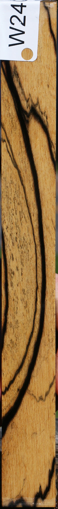 Black & White Ebony Turning Square