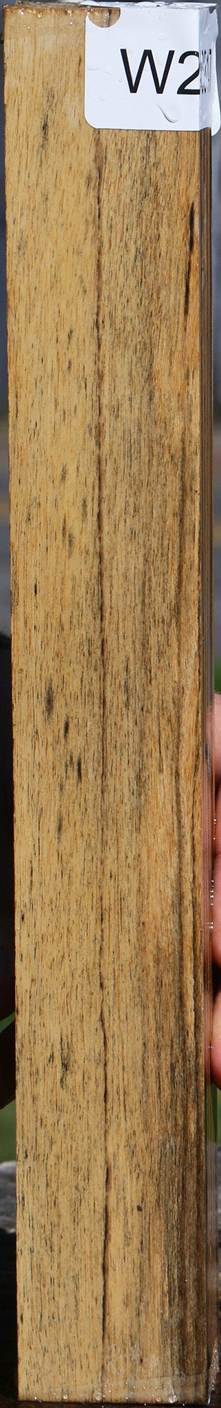Black & White Ebony Turning Square
