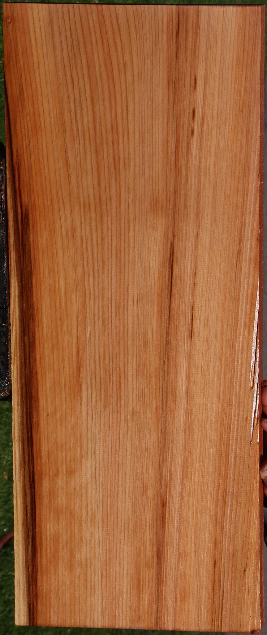 Redwood Mini Slab