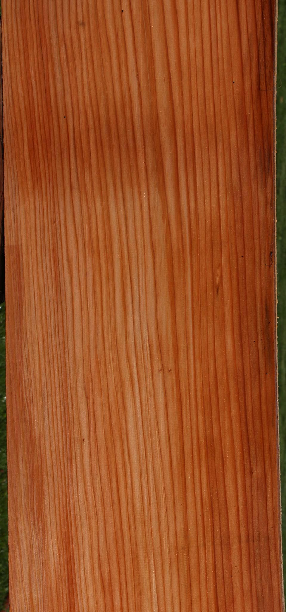 Redwood Slab