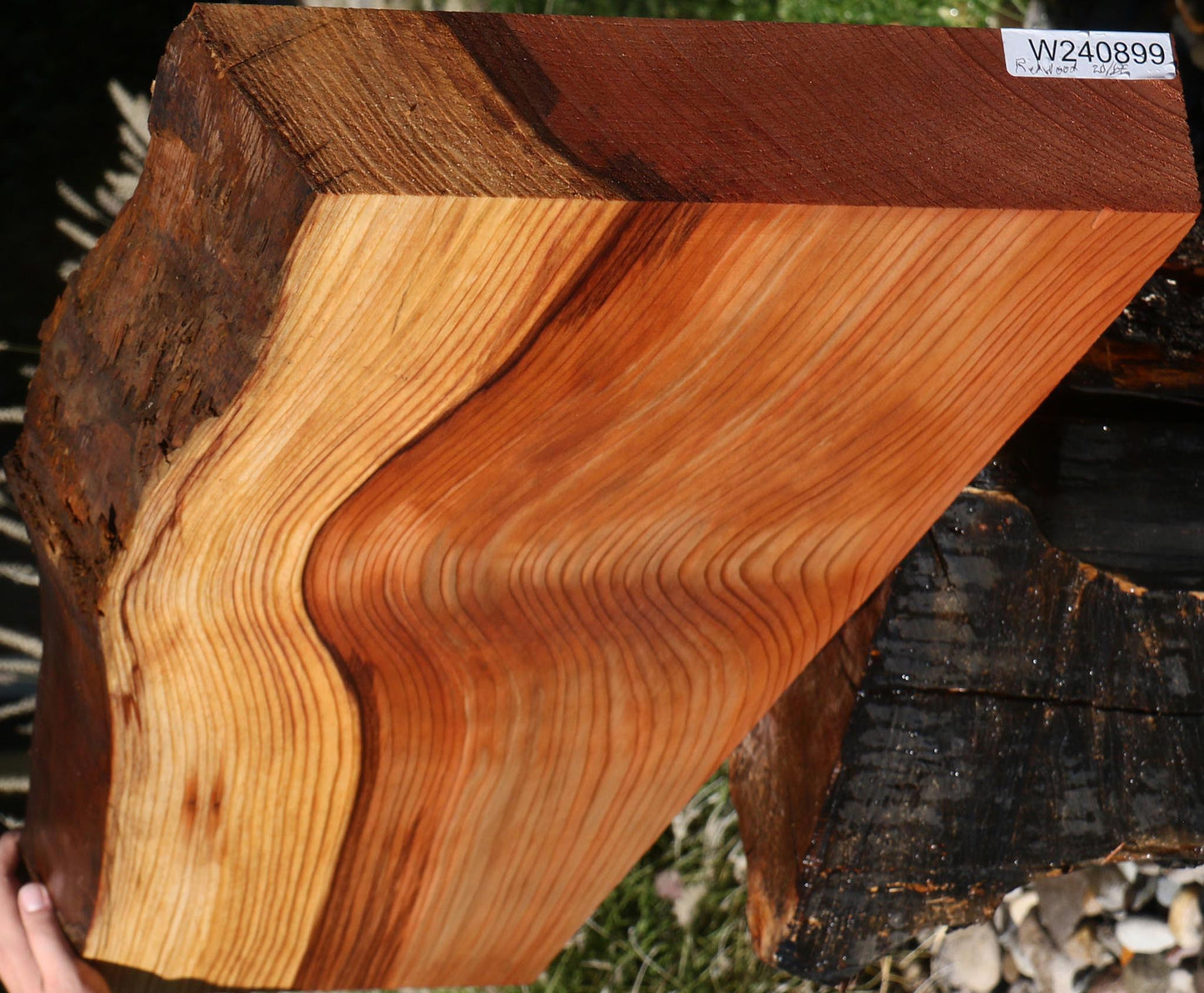 Redwood Live Edge Mini Slab