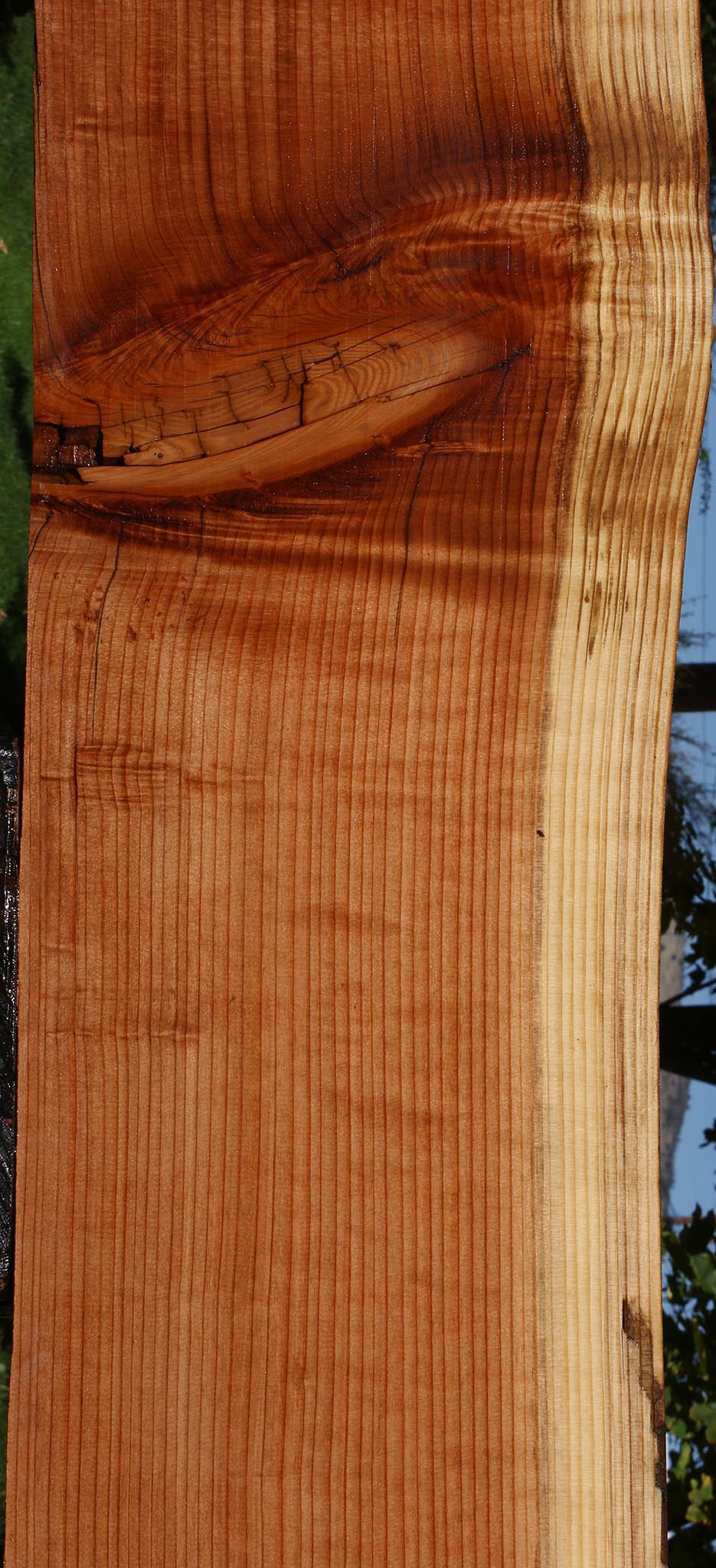 Redwood Live Edge Slab