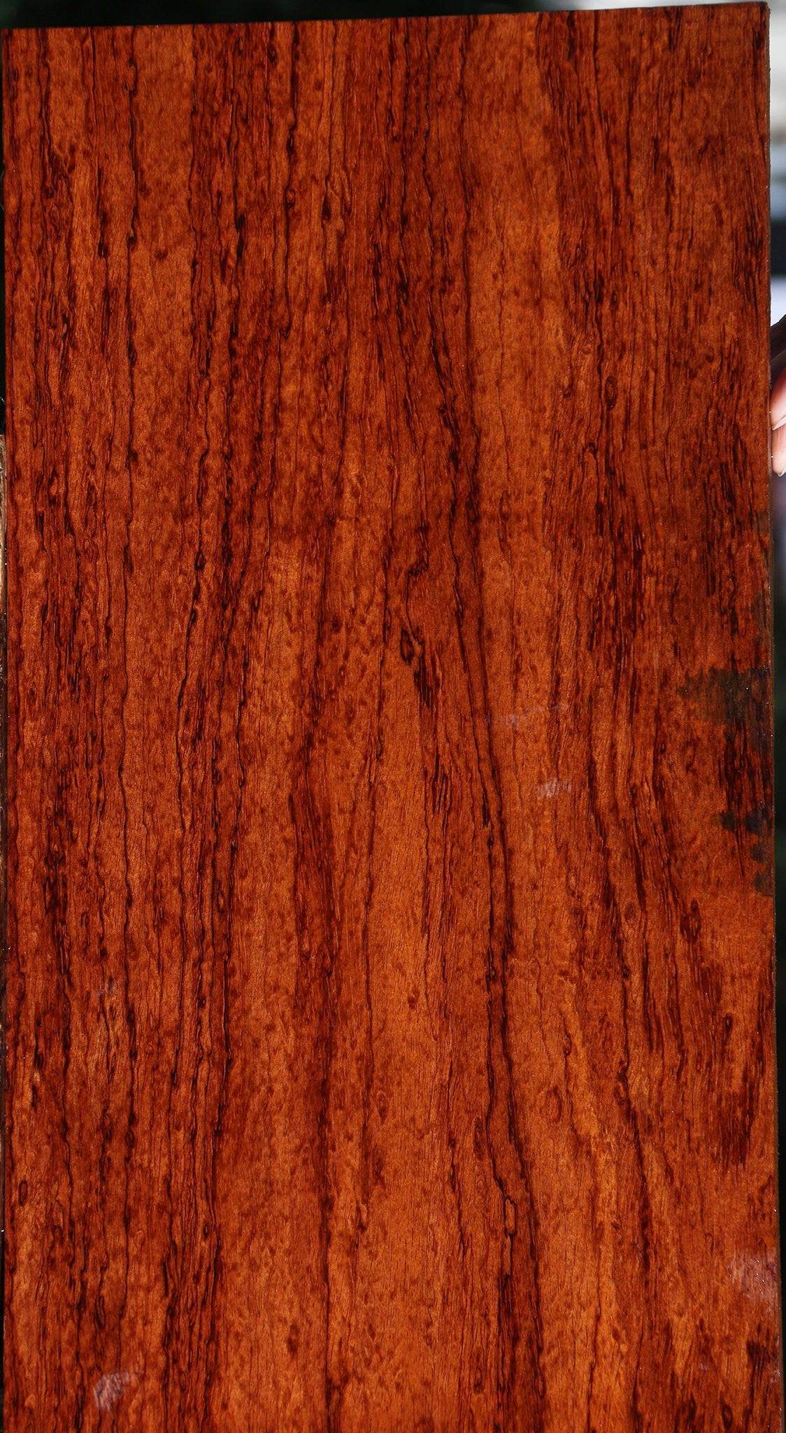 Extra Fancy Pomelle Bubinga Instrument Lumber