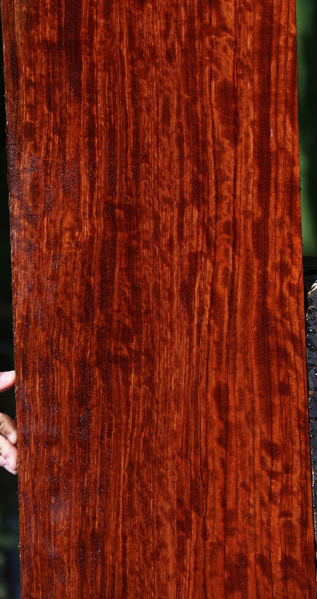 Extra Fancy Bubinga Lumber