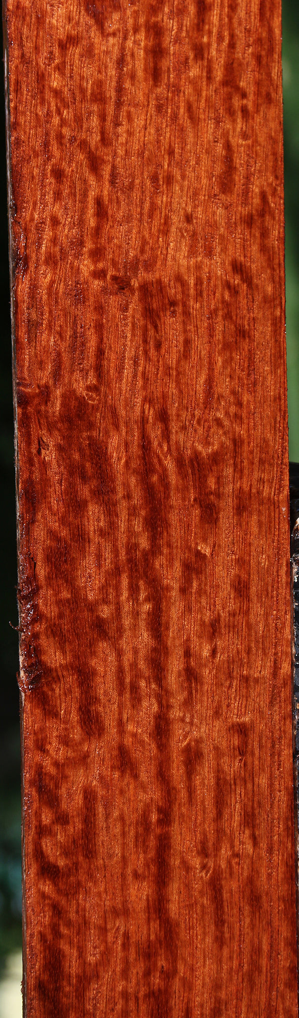 Extra Fancy Bubinga Lumber