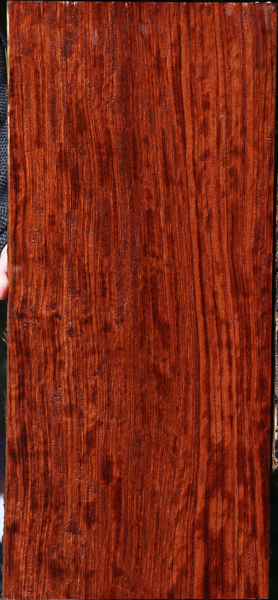 Extra Fancy Bubinga Lumber