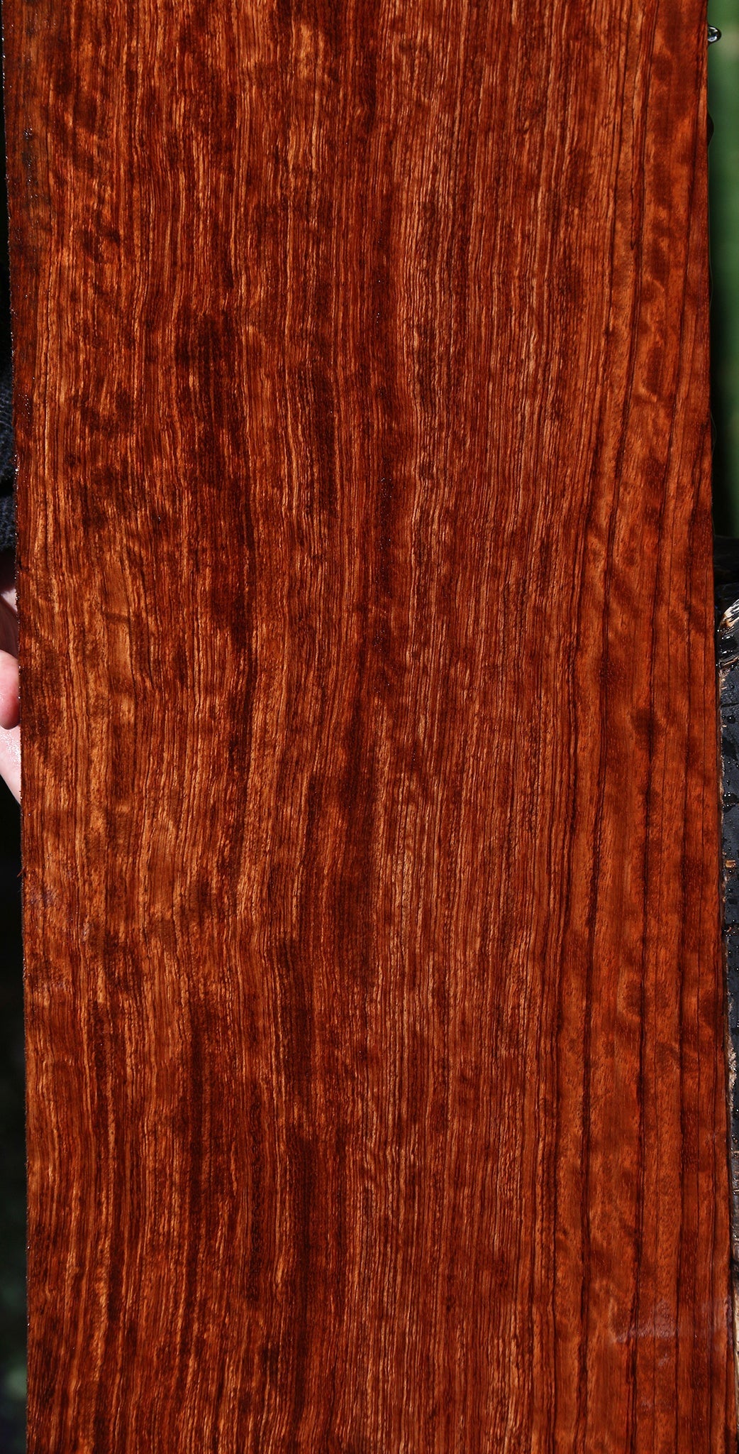 Extra Fancy Bubinga Lumber