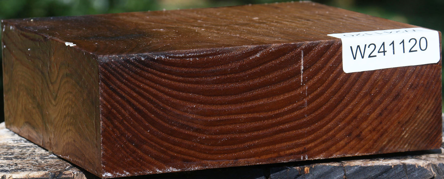 Russian Olive Bowl Blank