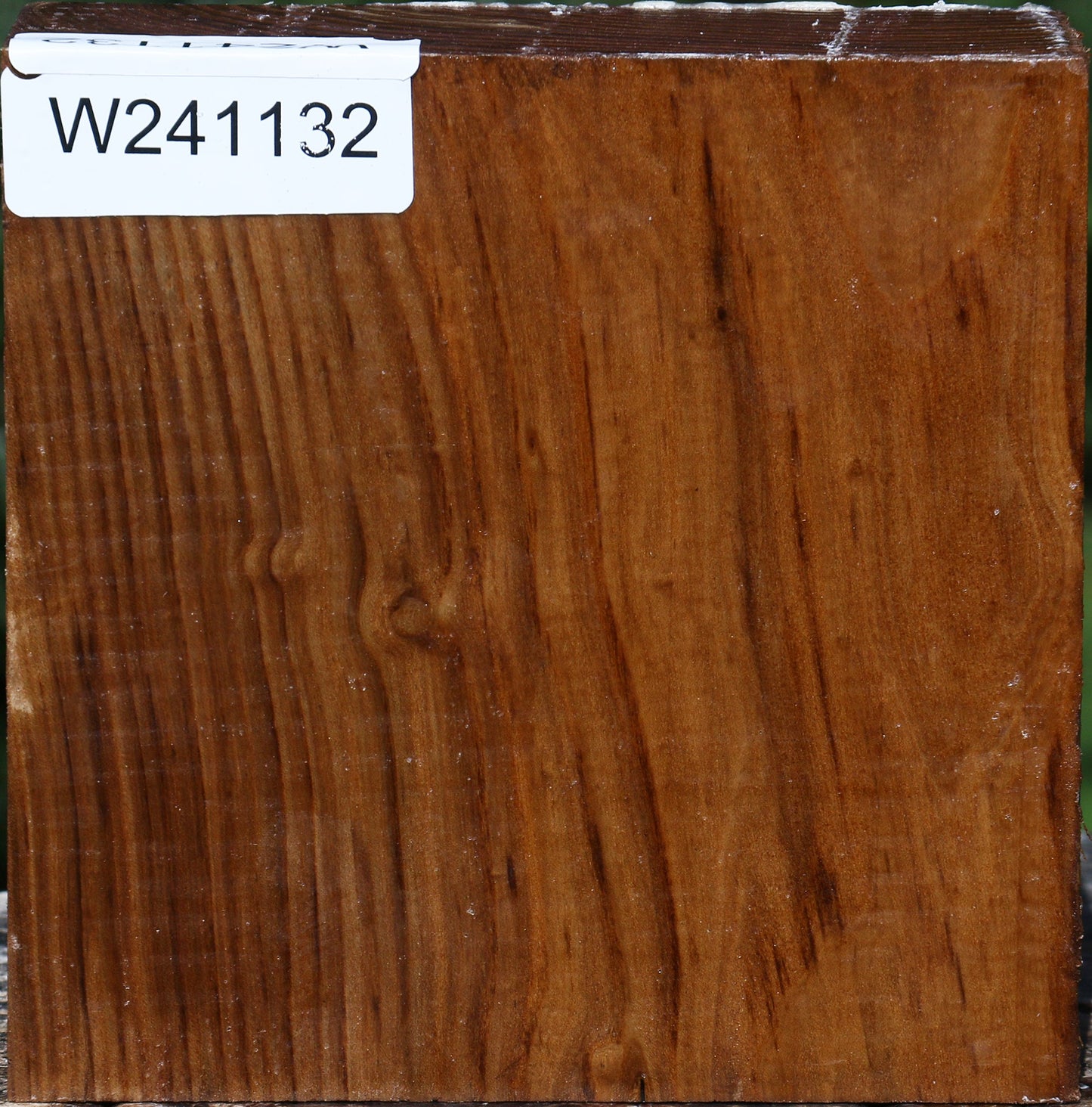 Russian Olive Bowl Blank