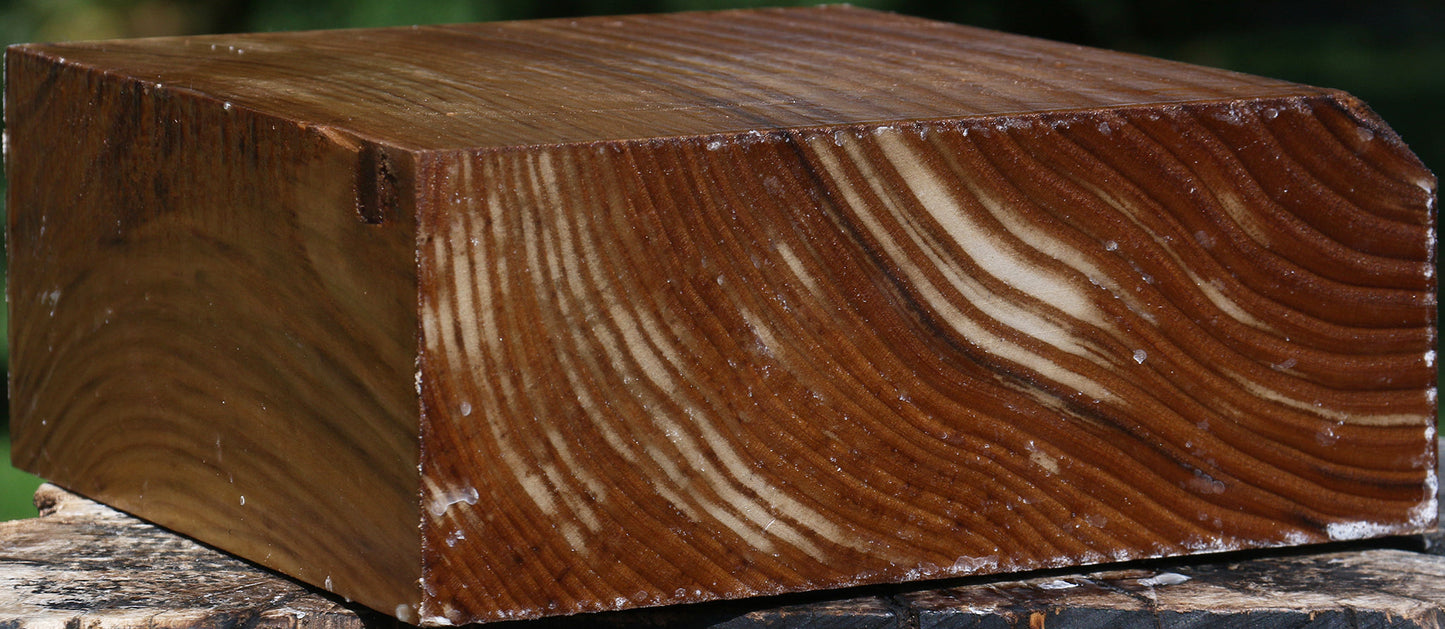 Russian Olive Bowl Blank