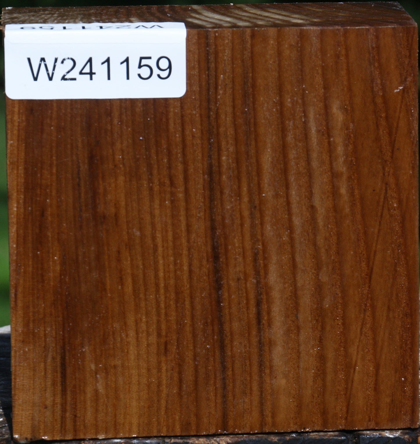 Russian Olive Bowl Blank