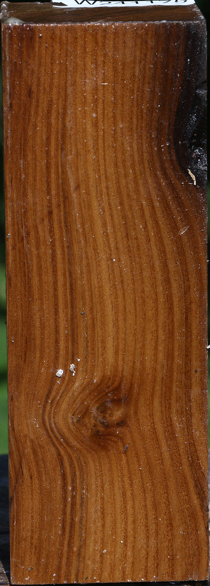 Russian Olive Peppermill