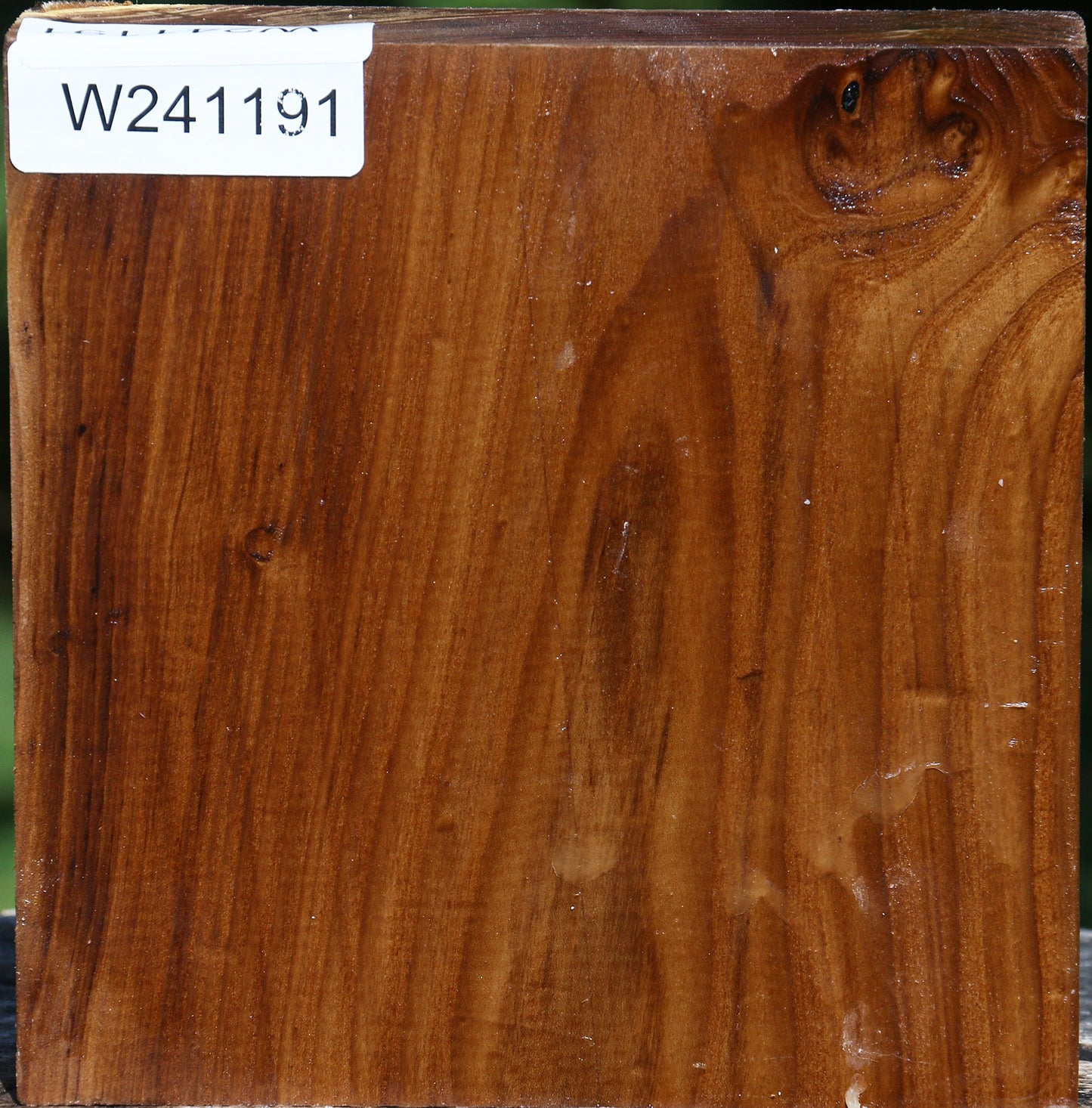 Russian Olive Bowl Blank