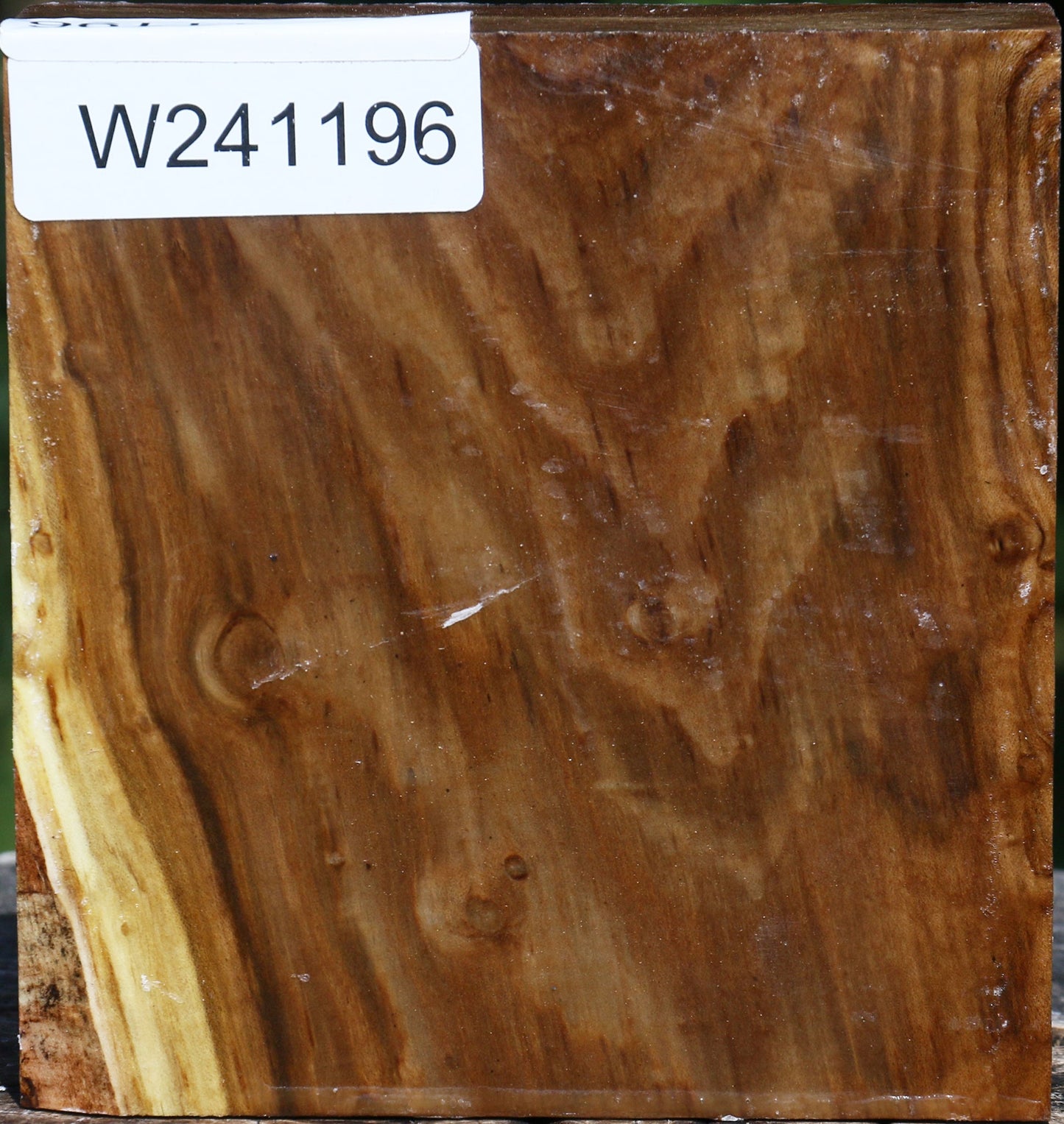 Russian Olive Bowl Blank