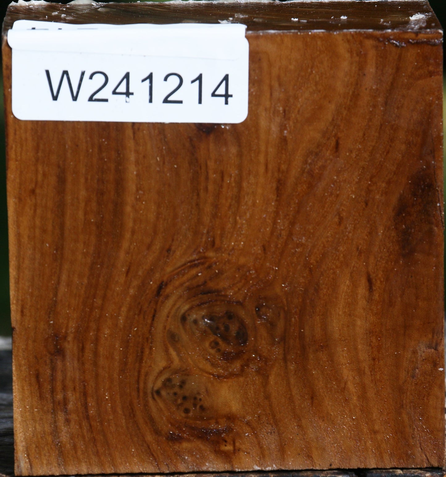 Russian Olive Bowl Blank