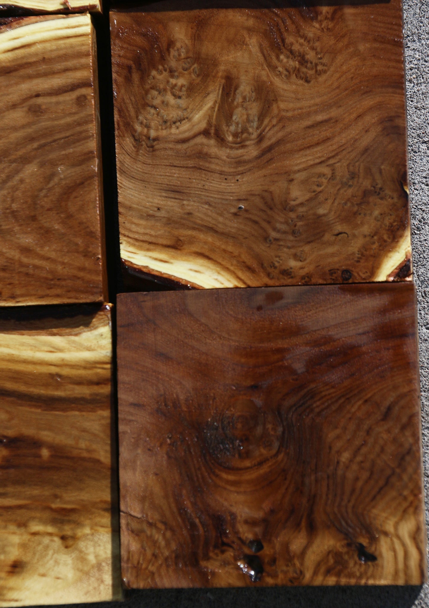 Russian Olive Turning Bargain Box