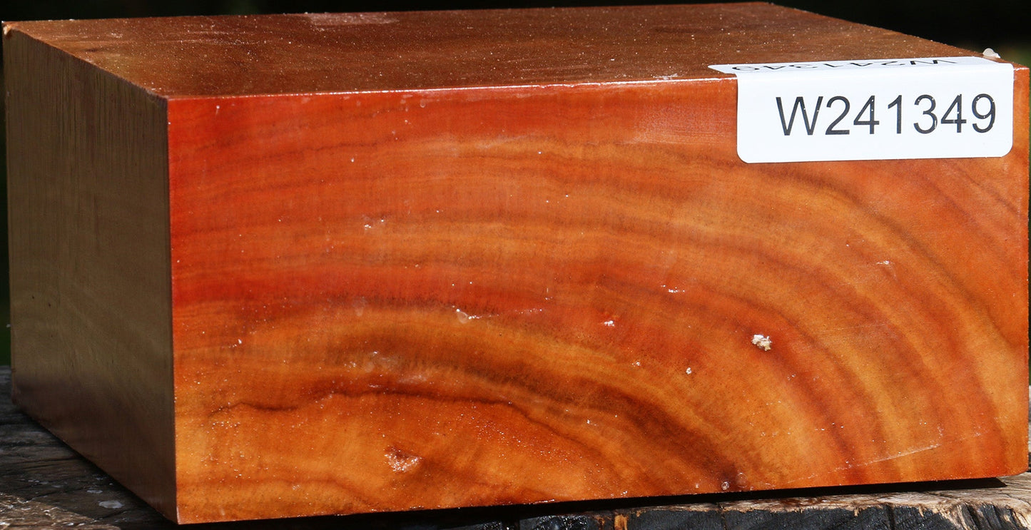 Extra Fancy Red Ironbark Bowl Blank