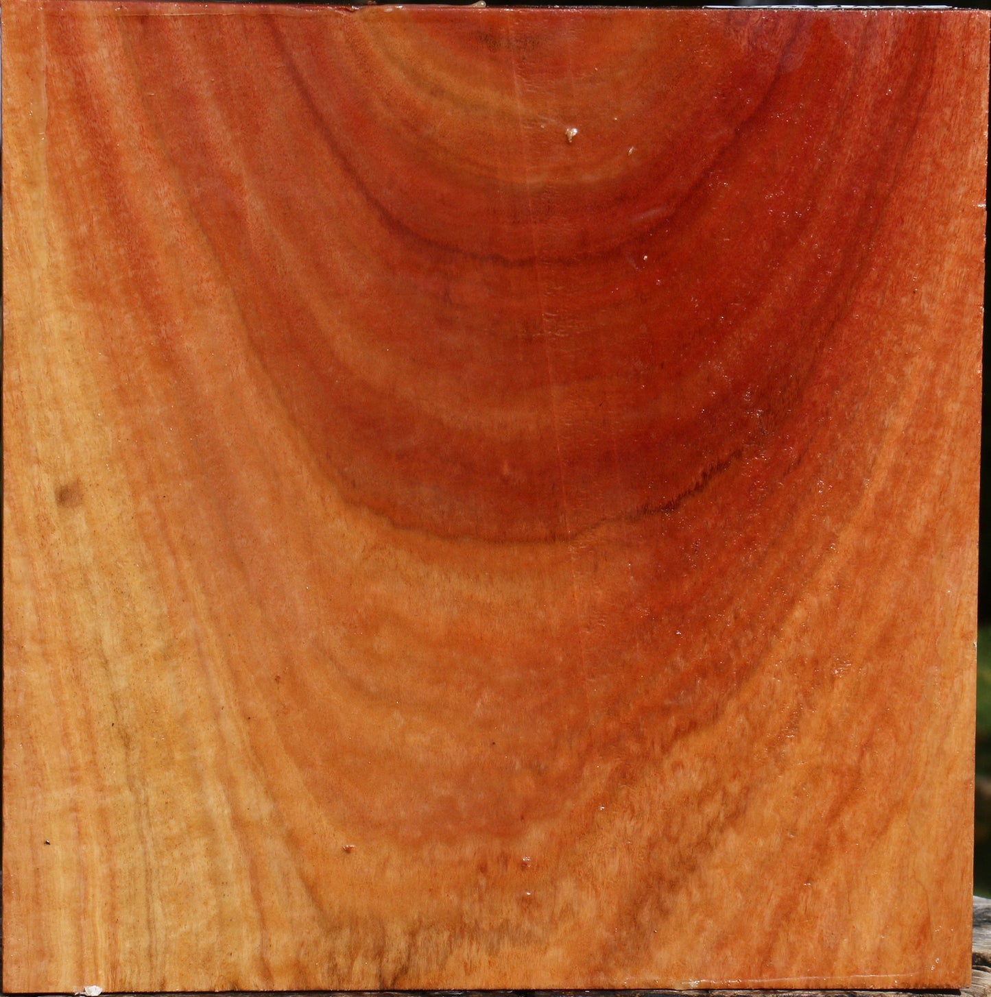 Figured Red Ironbark Bowl Blank