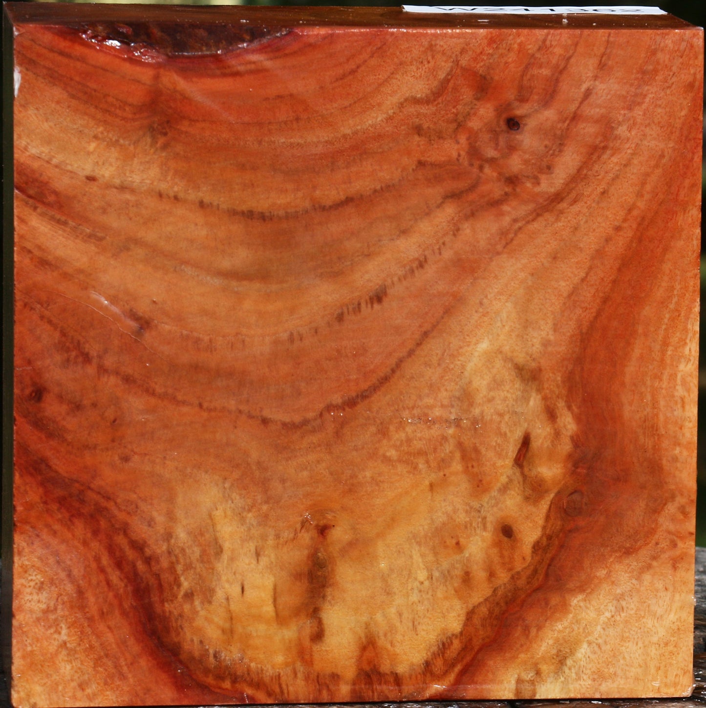 Extra Fancy Red Ironbark Bowl Blank