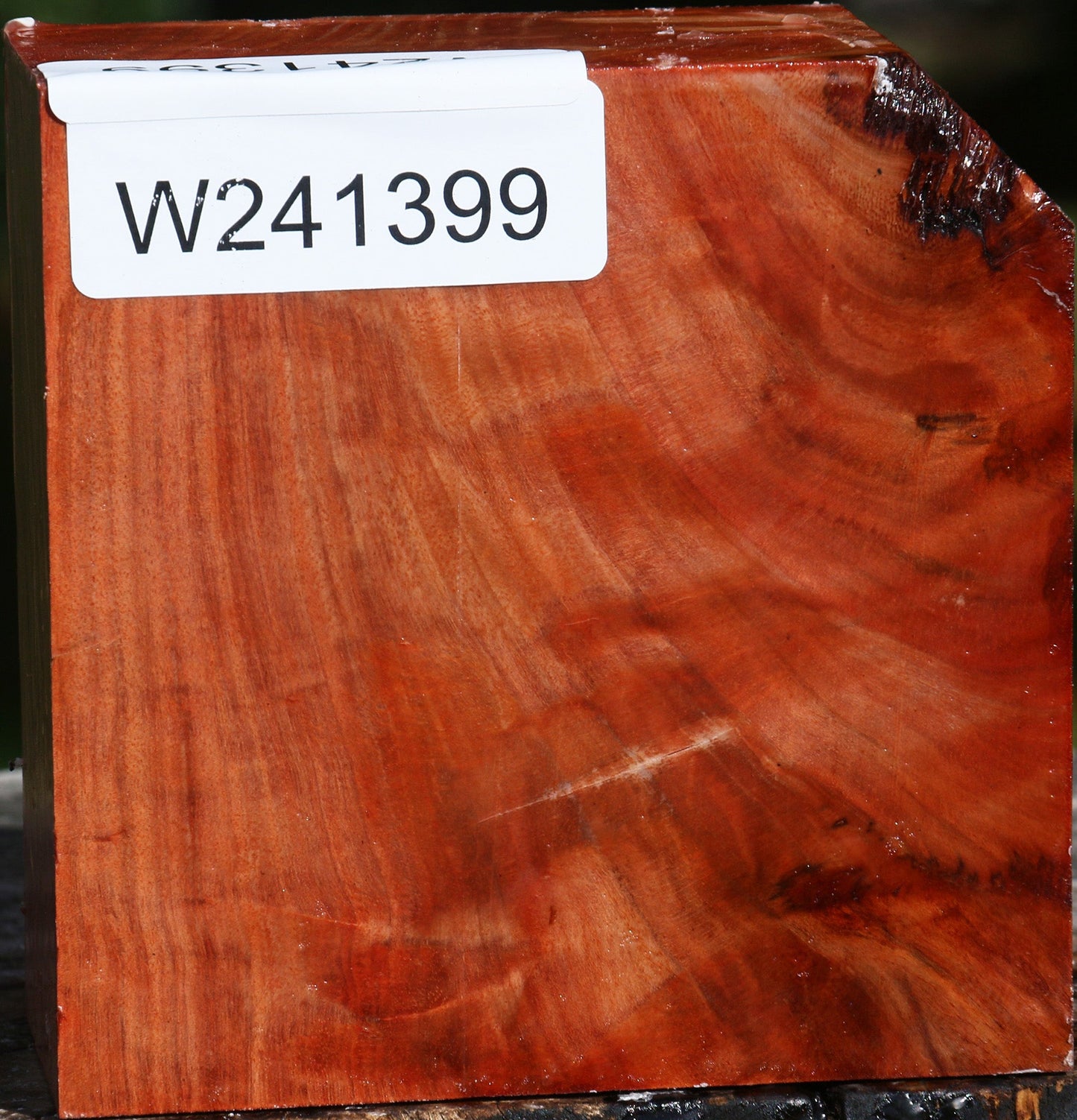 Figured Red Ironbark Bowl Blank