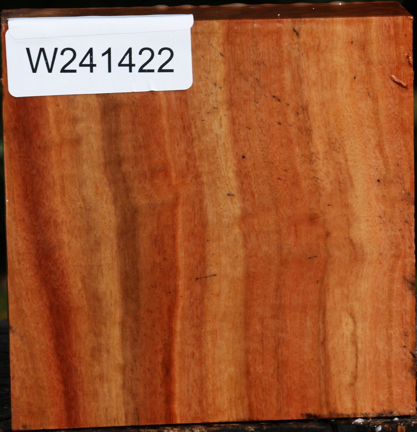 Figured Red Ironbark Bowl Blank