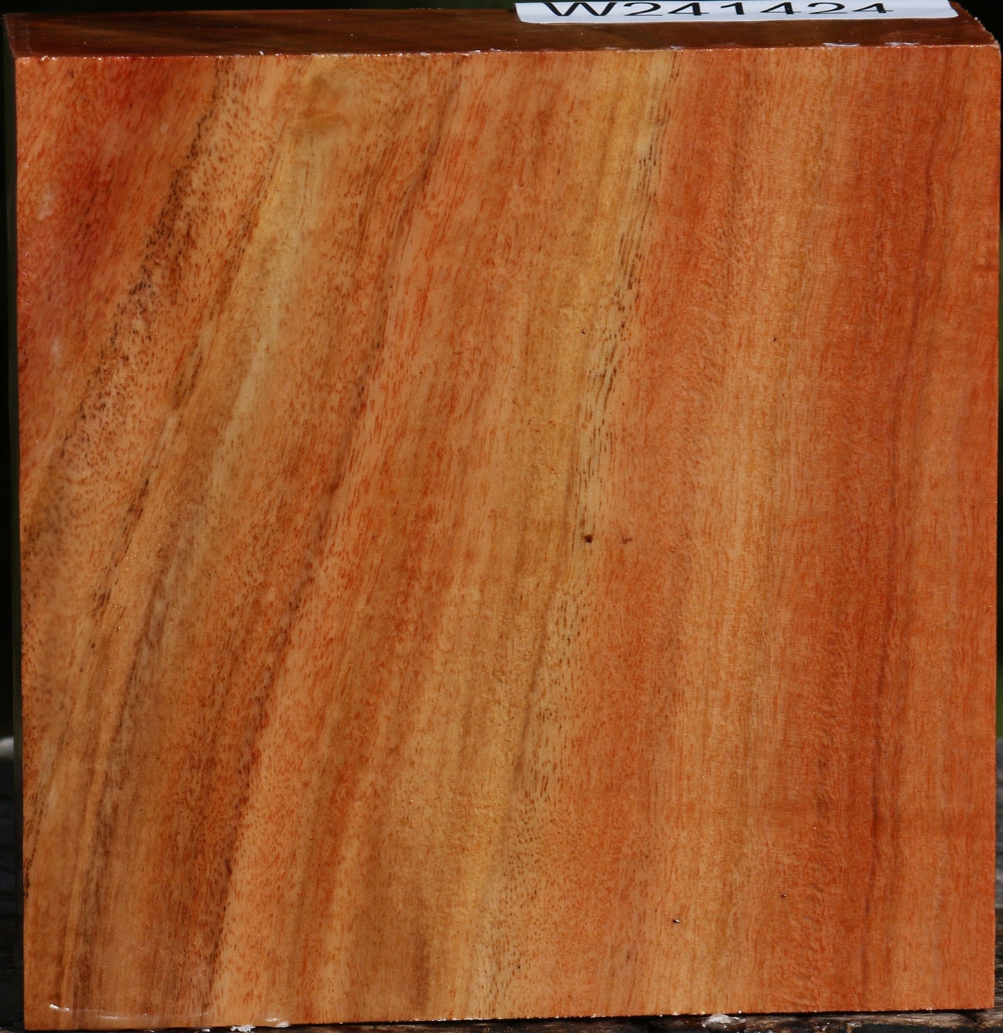 Red Ironbark Bowl Blank