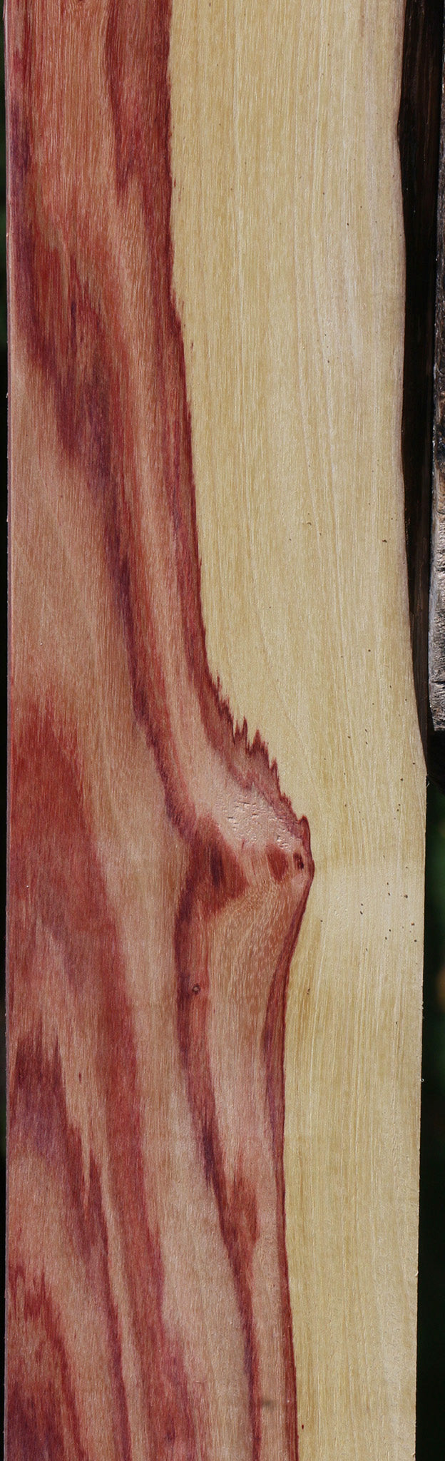 Tulipwood Micro Lumber