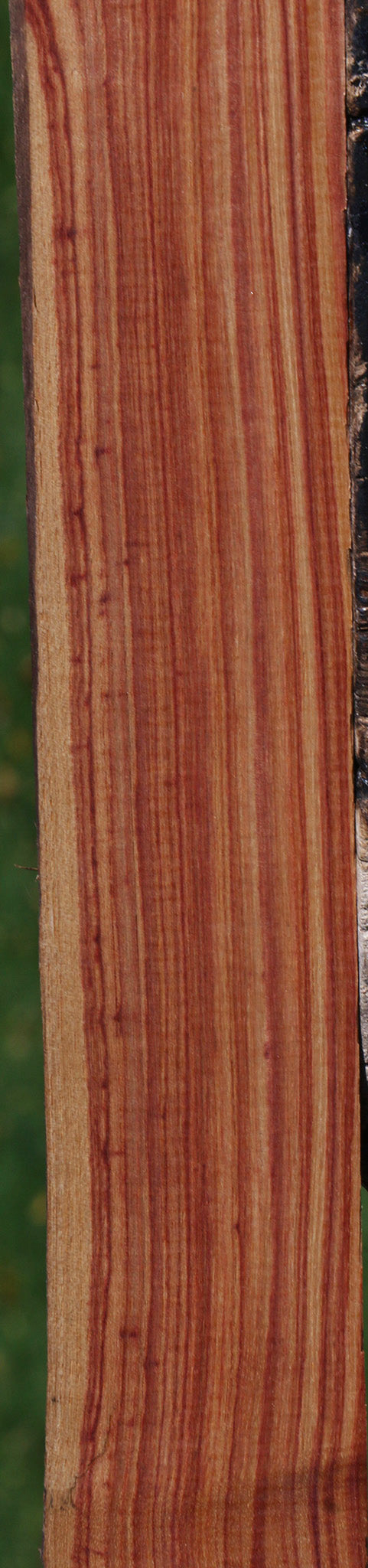 Quartersawn Tulipwood Lumber