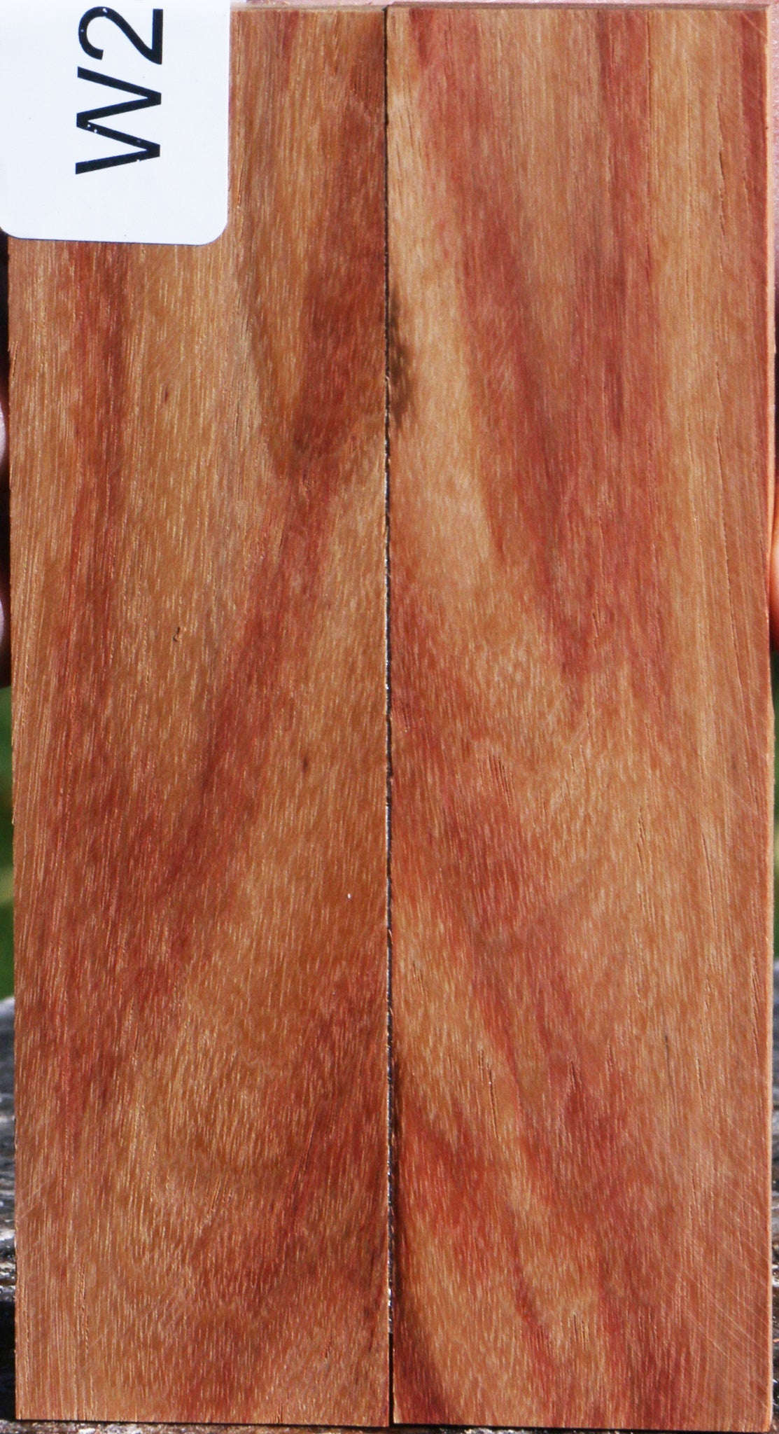 Tulipwood Bookmatched Knife Scales