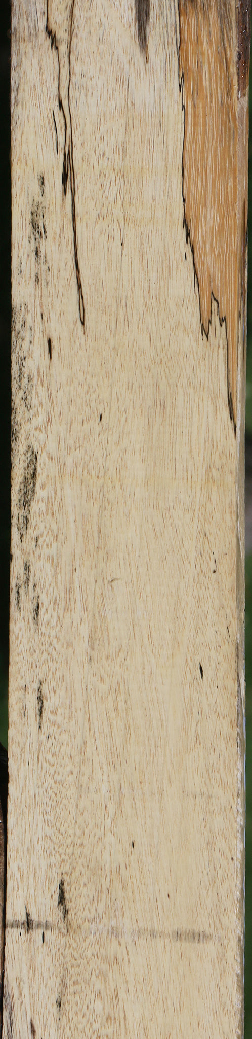 Spalted Tamarind Lumber