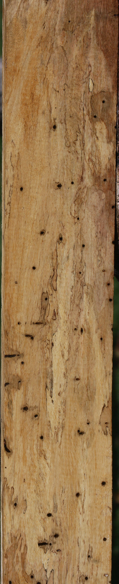 Spalted Tamarind Lumber