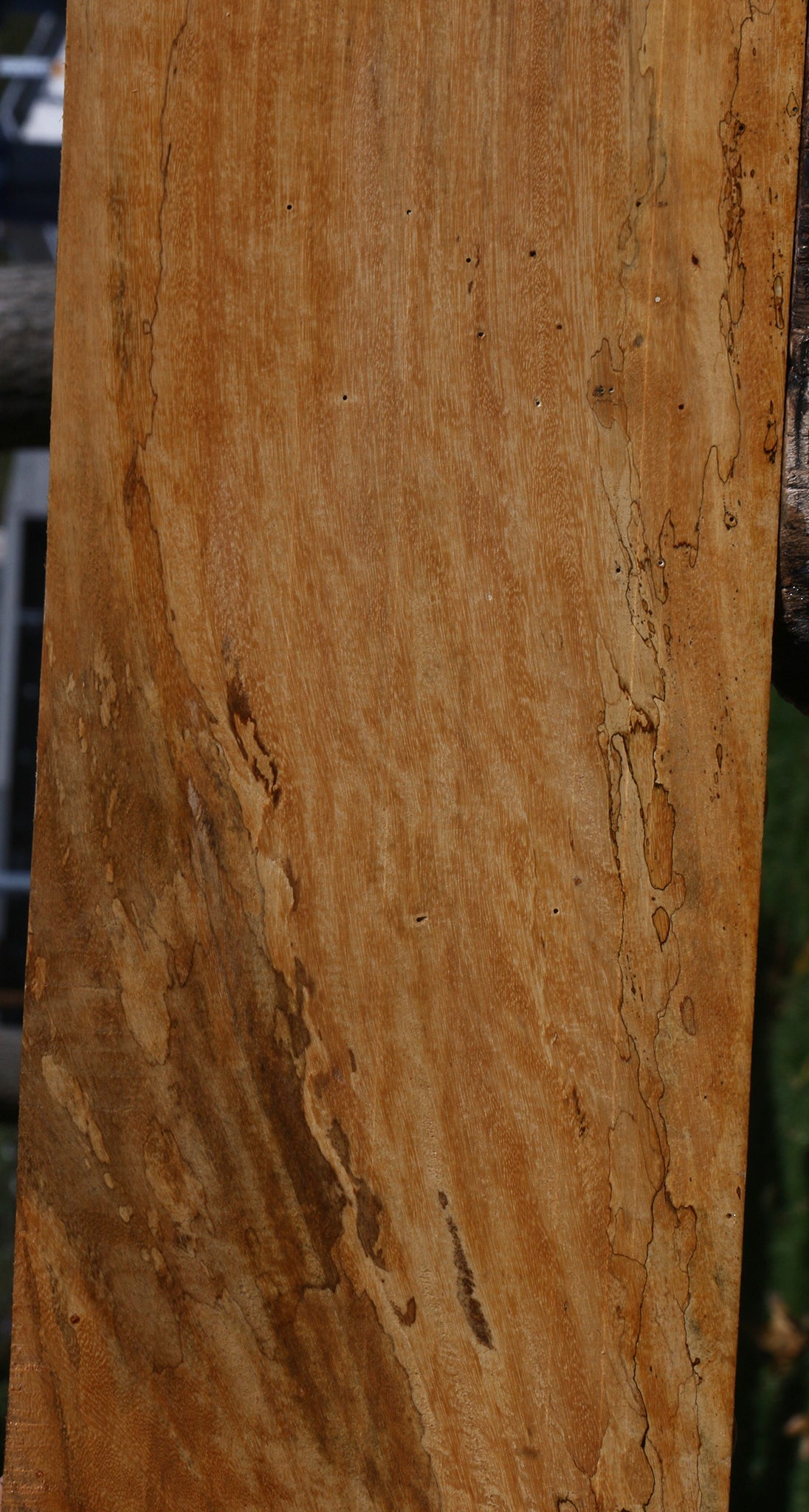 Spalted Tamarind Lumber