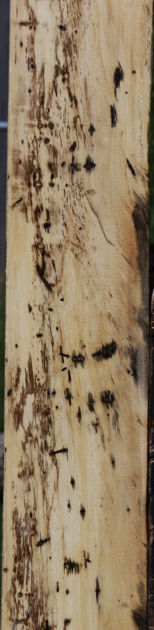 Figured Spalted Tamarind Lumber