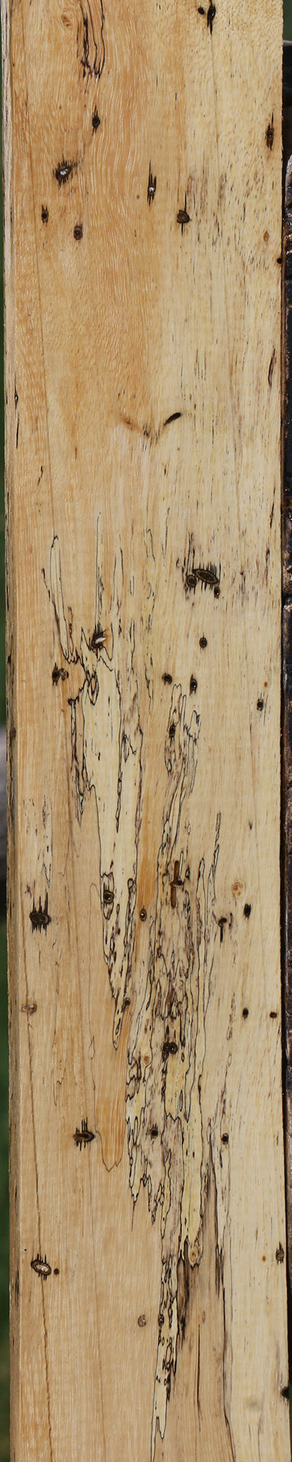 Figured Spalted Tamarind Lumber