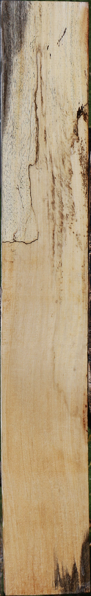 Spalted Tamarind Lumber