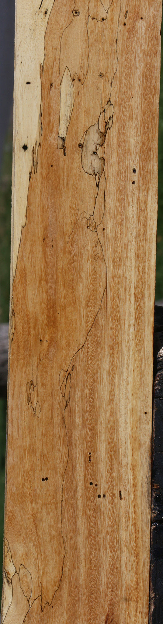 Spalted Tamarind Lumber