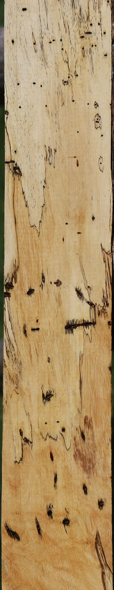Spalted Tamarind Lumber