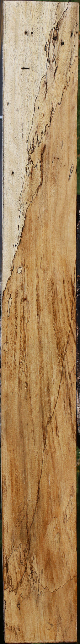 Spalted Tamarind Lumber