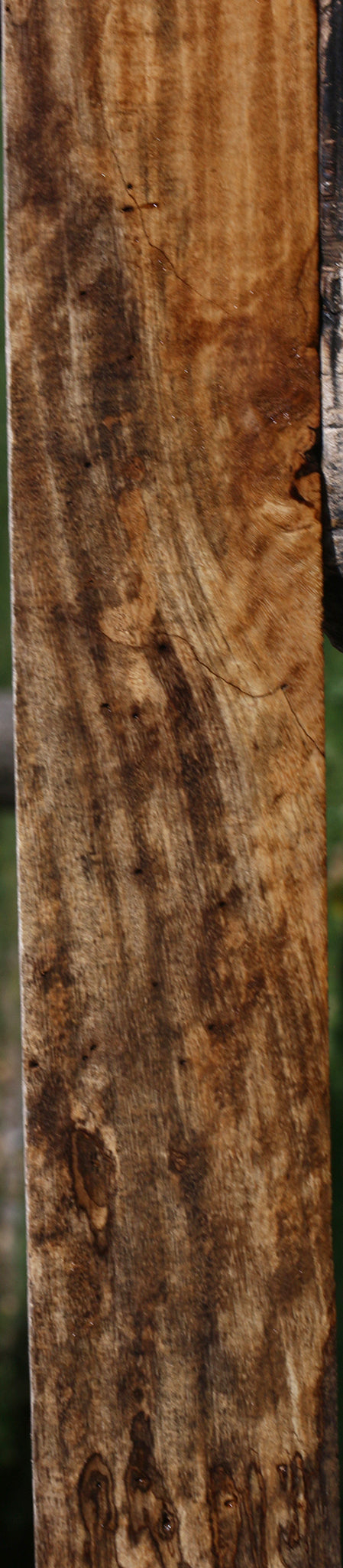 Figured Spalted Tamarind Lumber