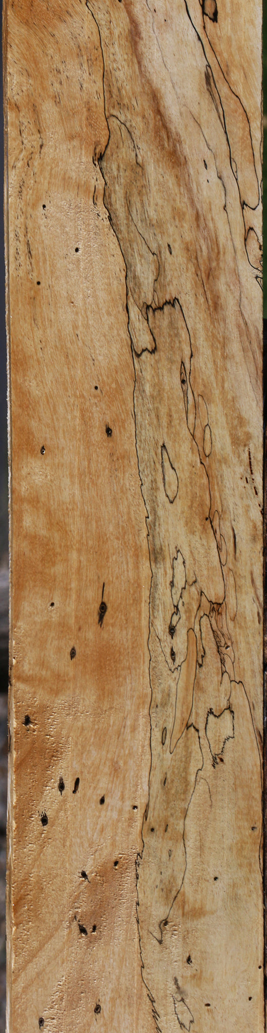 Figured Spalted Tamarind Lumber
