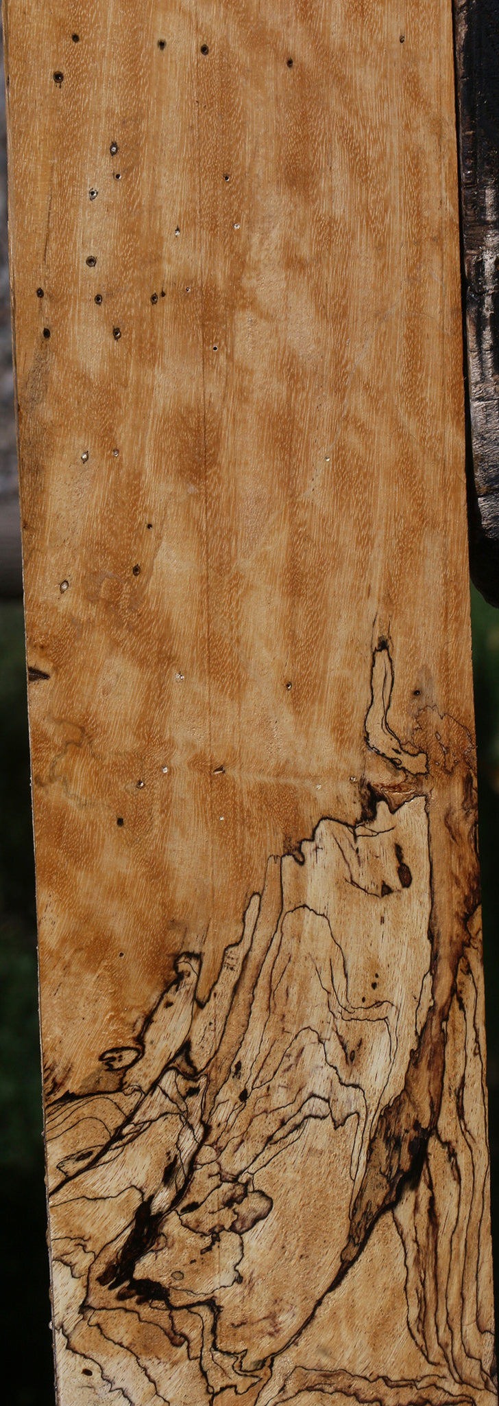 Extra Fancy Spalted Tamarind Lumber