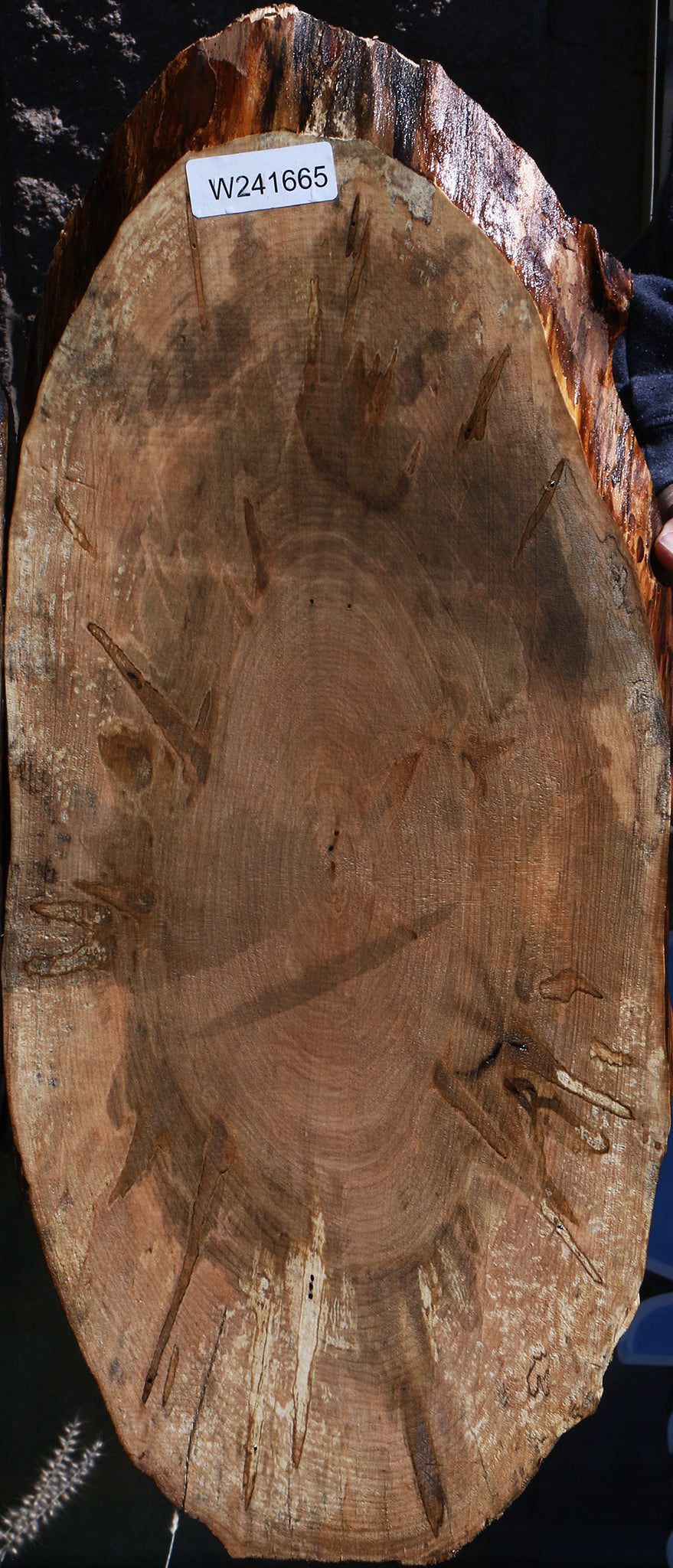 Ambrosia Maple Cookie