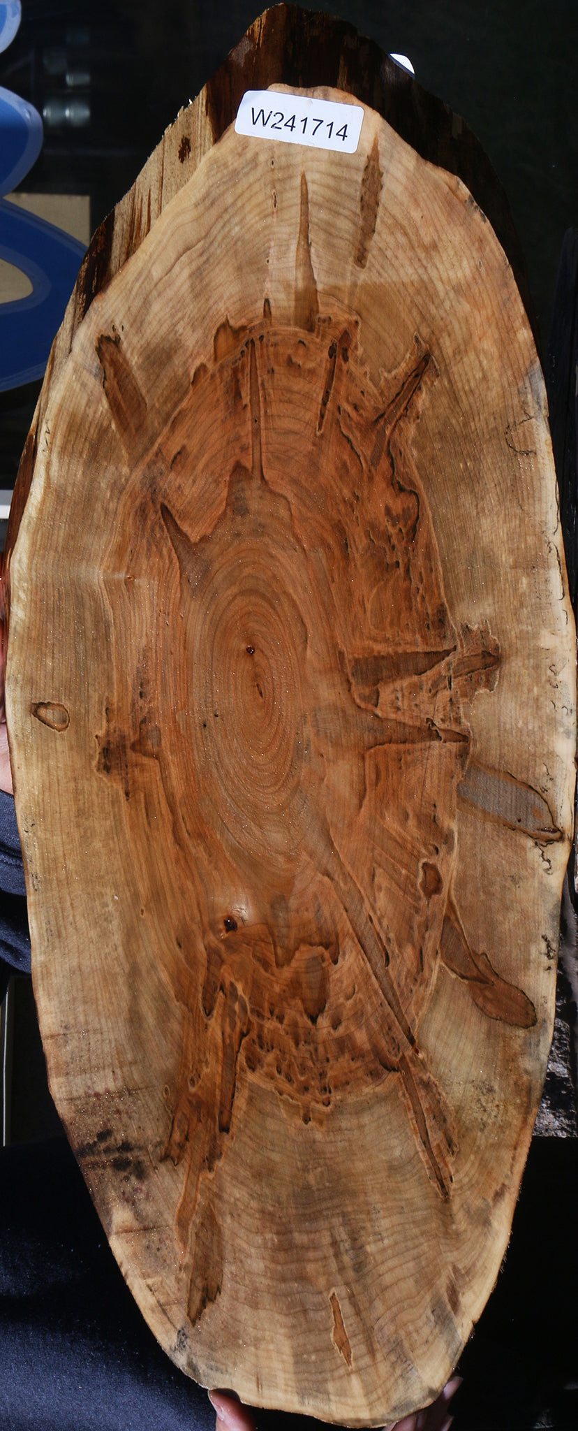 Figured Ambrosia Maple Cookie