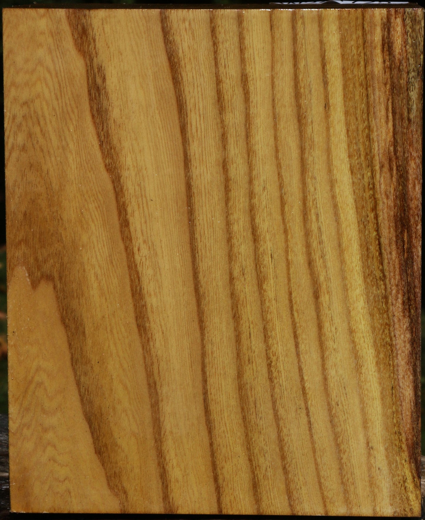 Figured Mulberry Bowl Blank