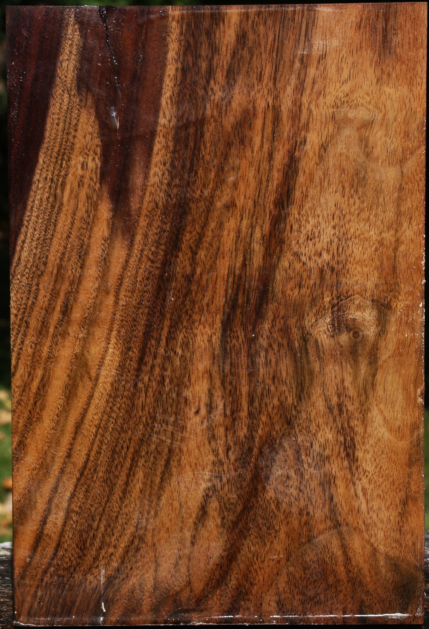 Claro Walnut Vessel Blank