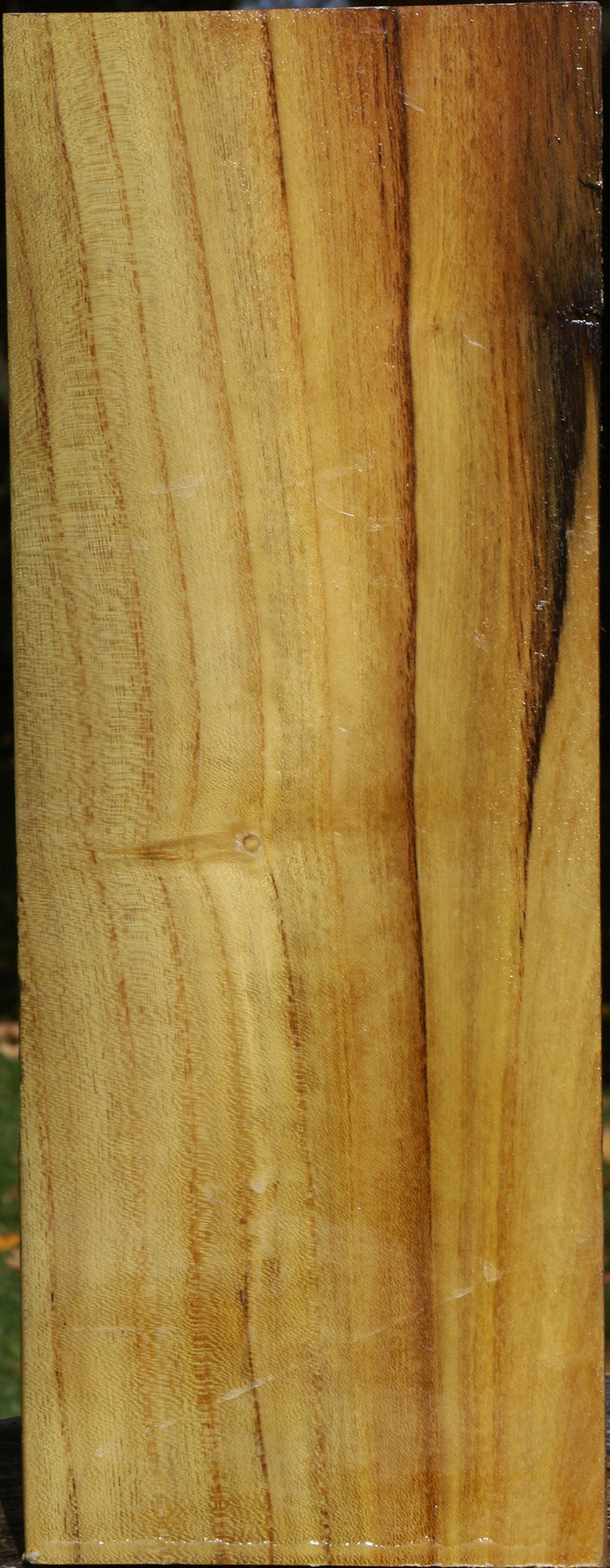 Mulberry Vessel Blank