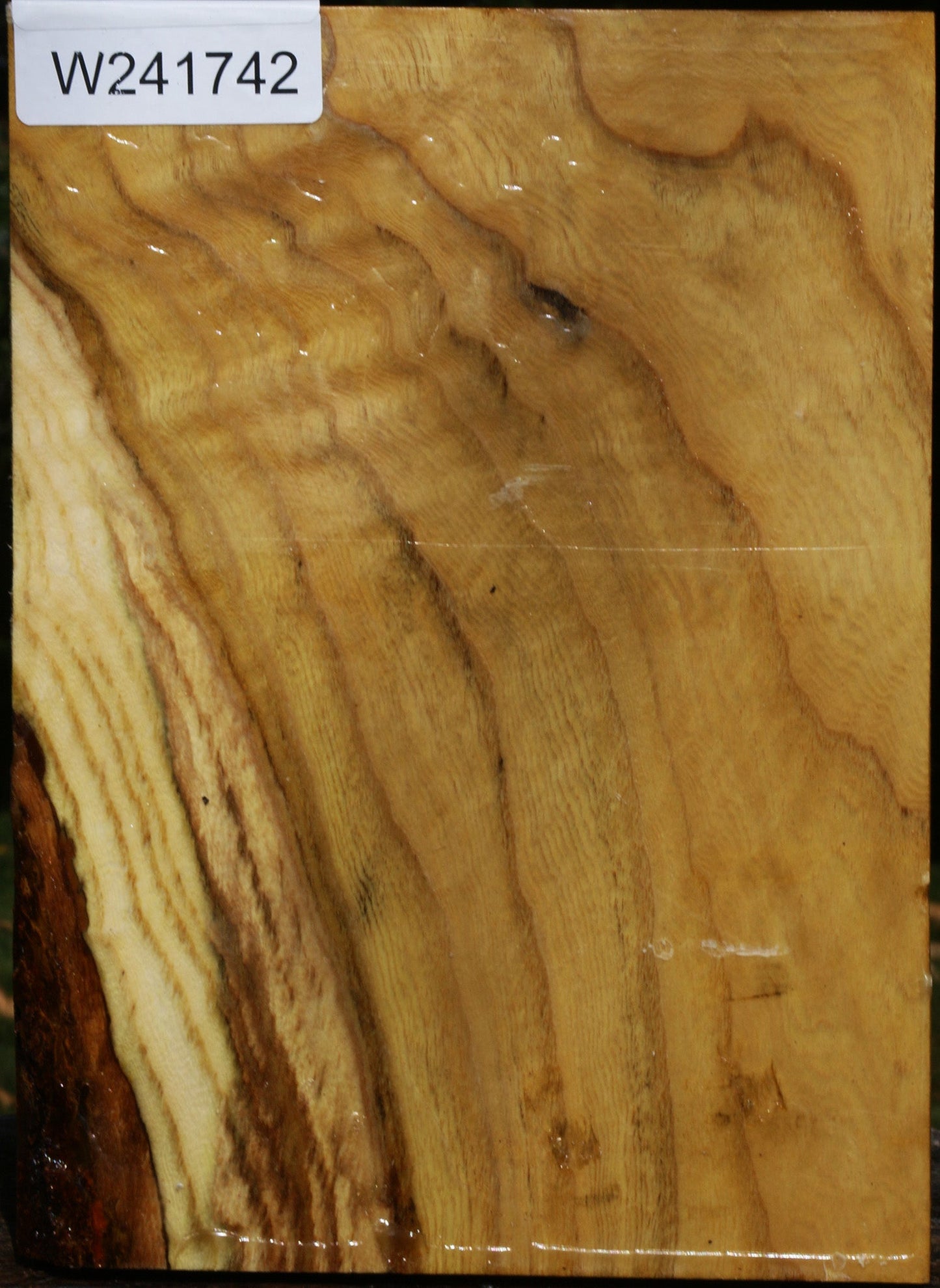 Figured Mulberry Vessel Blank